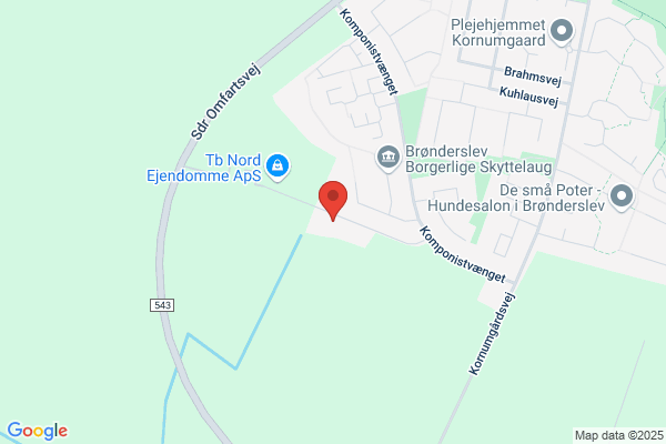 Brønderslev Mureren