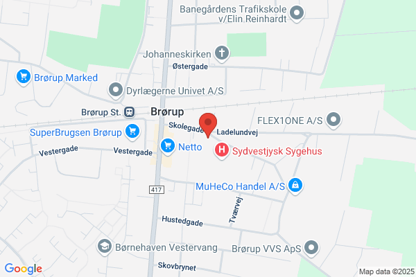 Brørup Skoles Skolefritidsordning, Chipsen