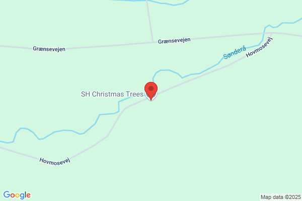 SH Christmas Trees