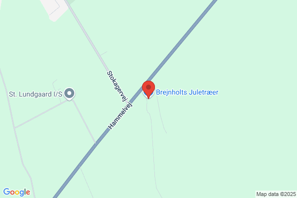 Bygholm Pyntegrønt & Juletræer