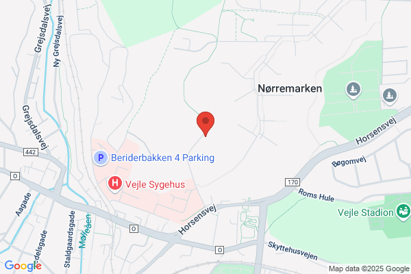 Forenede Dampvaskerier De A/S