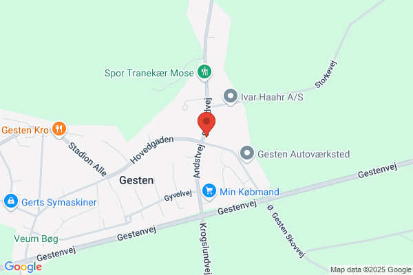 Lægerne i Gesten I/S