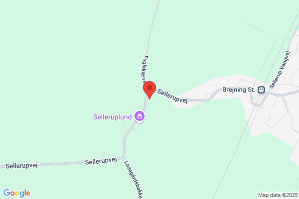 Børkop Murerforretning (Dennis Tranberg Frandsen)