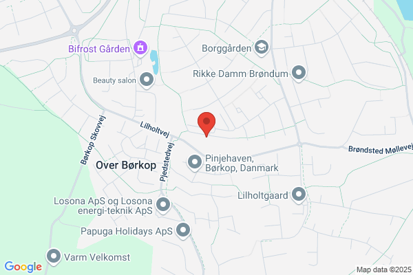 Ældre Sagen, Lokalkomite for Børkop Kommune