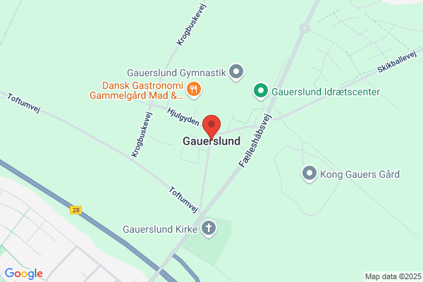 Gauerslund Skole