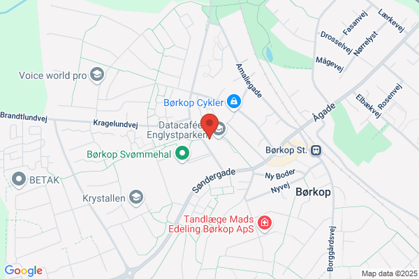 Venstre i Børkop Kommune