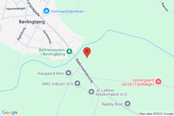 Bøvling Borgerforening