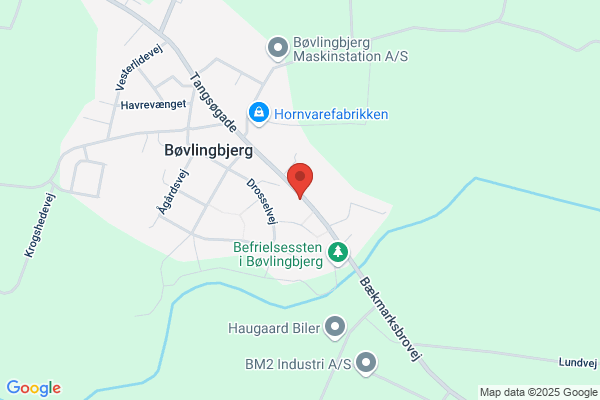 Dino Rengøring