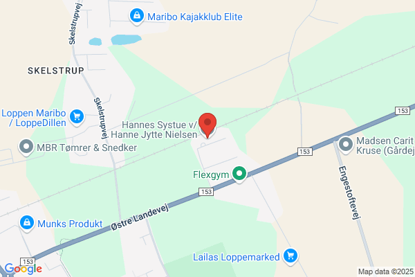 Hanne's Syskole
