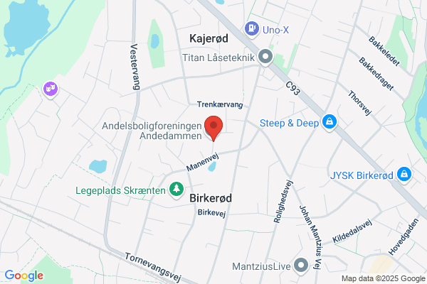 Andedammen