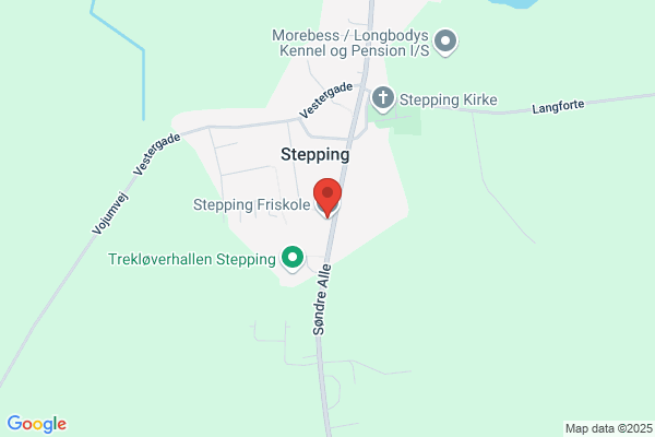 Stepping Skole
