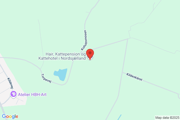 Elmedige Hunde og Kattepension, Dyreinternat