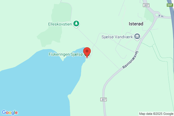 Fiskeringen