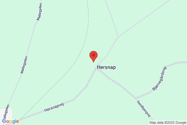 Hansen Peter N