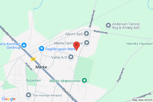 Thinghuus, Ejendomsselskabet ApS