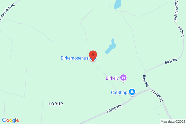 Birkehusgårdens Økologiske Æg