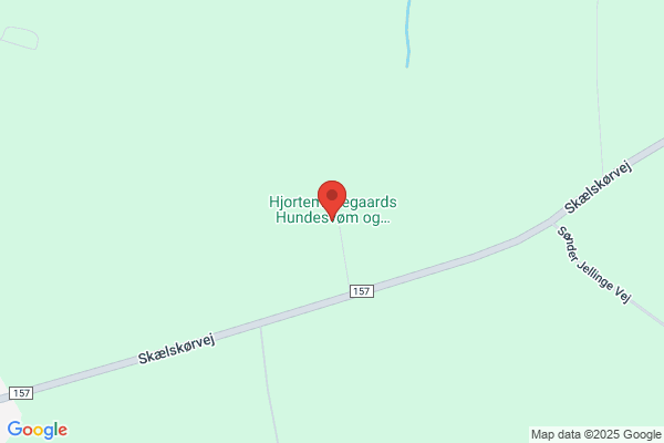 Hjortemosegård Hundesvømning & Pension