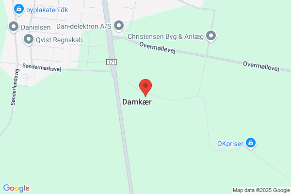 Danske Llamas På Vej