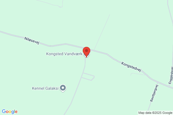 Kongsted Vandværk