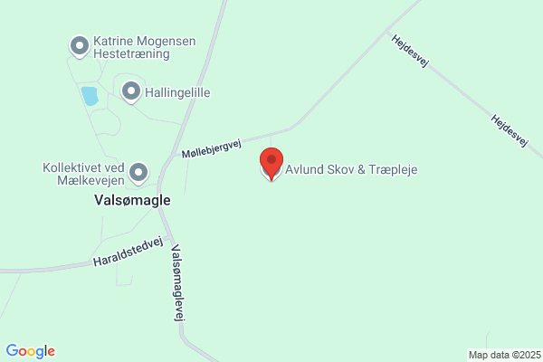 Skovs Rengøring