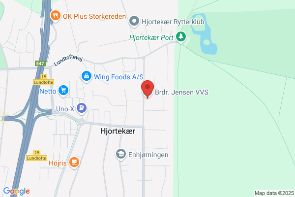 Lyborg VVS