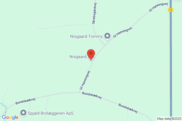 Nisgaard A/S