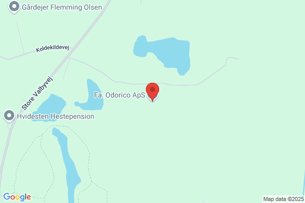 Odorico Gormsen ApS