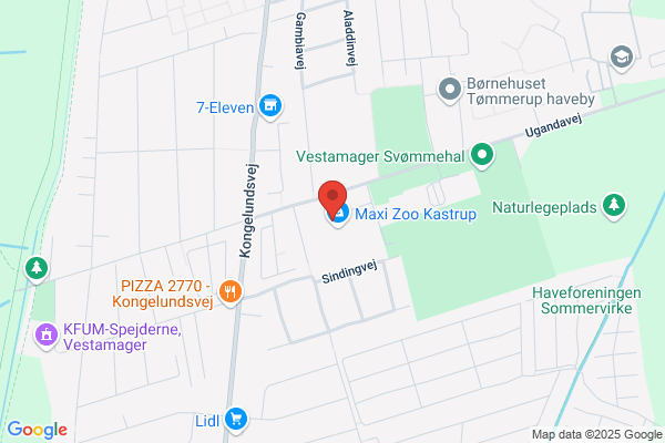 Vierdigets Skolefritidshjem