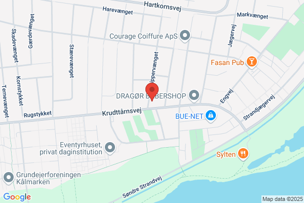 Venstre i Dragør