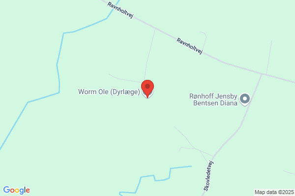 Worm, Ole