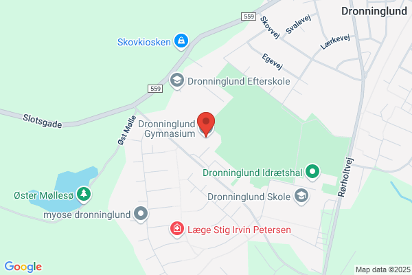 Dronninglund Gymnasiums Venner