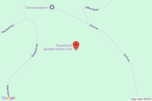 Det Danske Spejderkorps Rosenholt