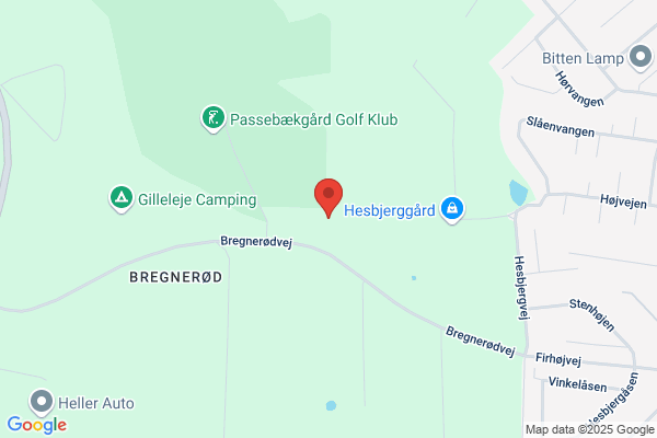 Gilleleje Akupunktur