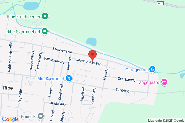 Ribe Amtskreds Pensionistforeninger