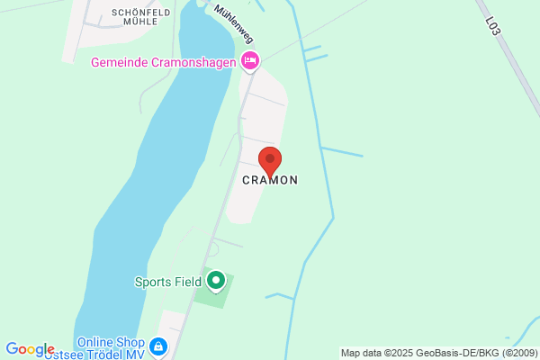Cramon Teknik