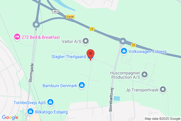 Theilgaard, Henriette