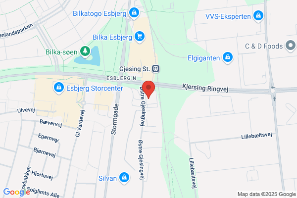 Bernina Sycenter