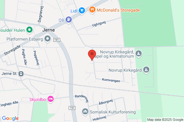 Rudolf Steiner Skolen I Esbjerg