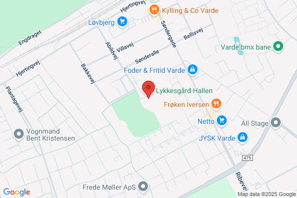 Boldesager Volleyball Club