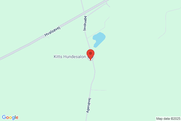 Kitts Hundesalon