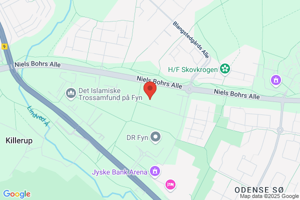 Skov, Salon
