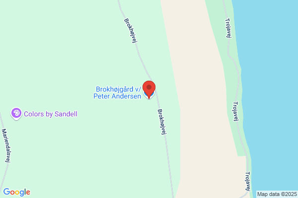 Andersen, Arne A.