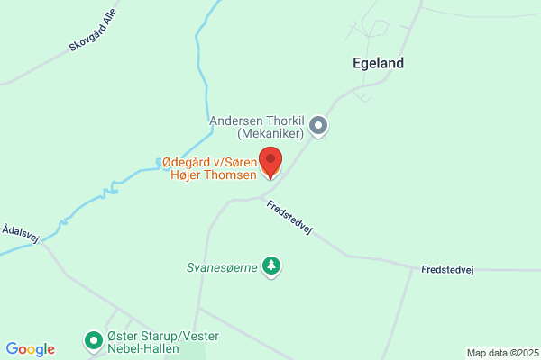 Thomsen Erling H