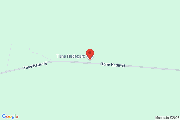 Højvang, Børnehaven