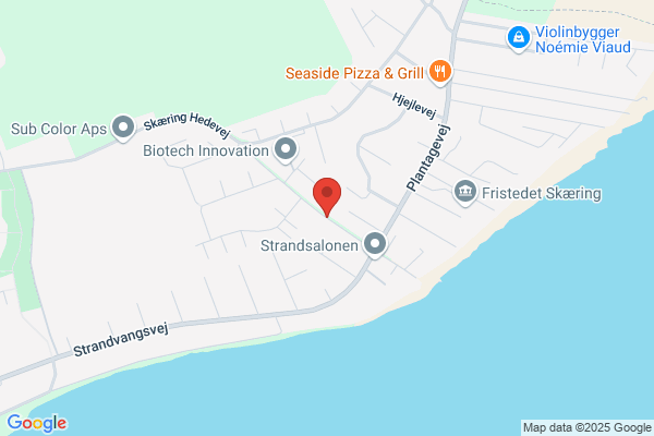 Bjørnbak NLP & Salgstræning