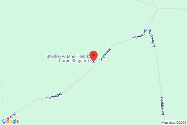 Klitgaard, Lars