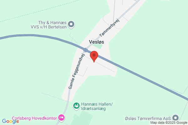 Nielsen, Troels O.