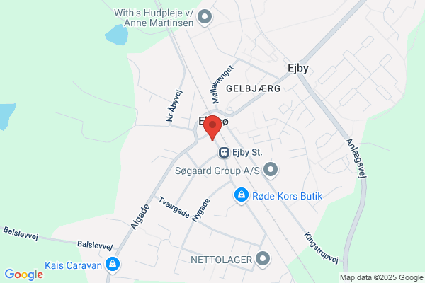 Grønne Skobutik, Din
