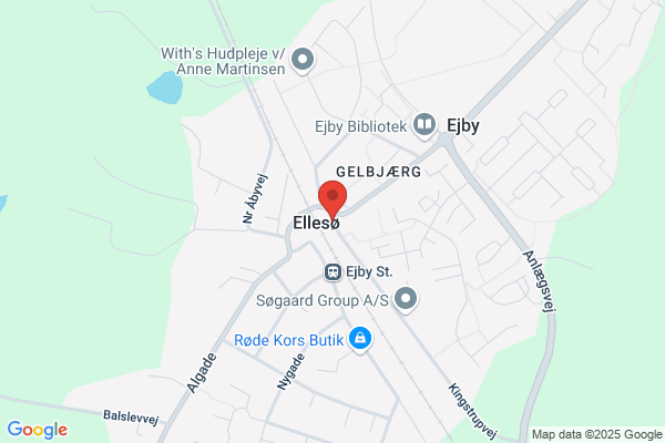 Lyng, Salon