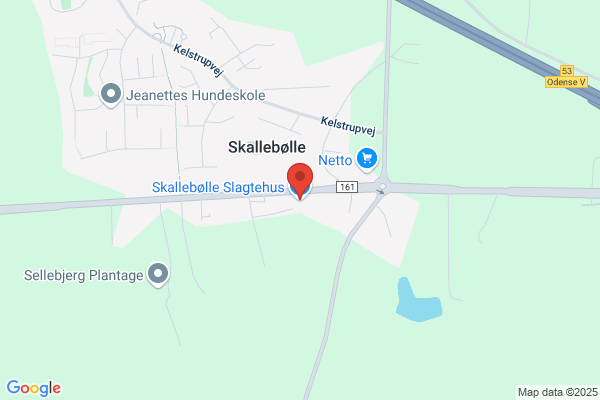 Skallebølle Slagtehus